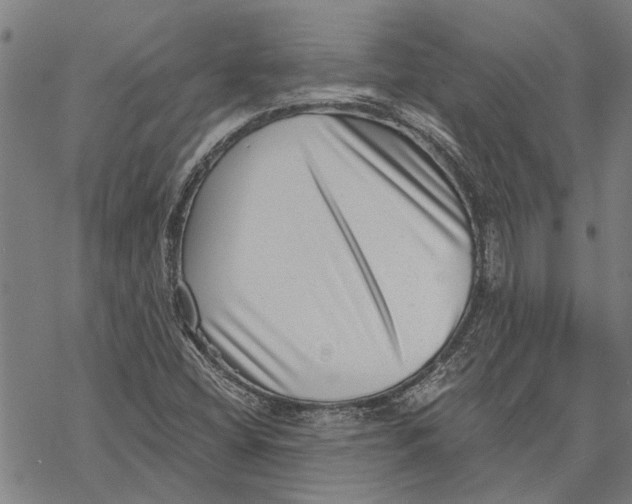 X0000068831404200605261604