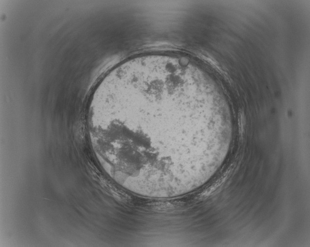 X0000068831405200605261604