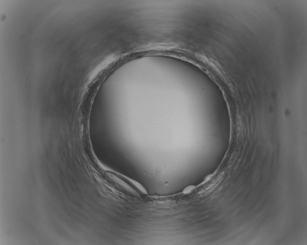 X0000068831406200605261604