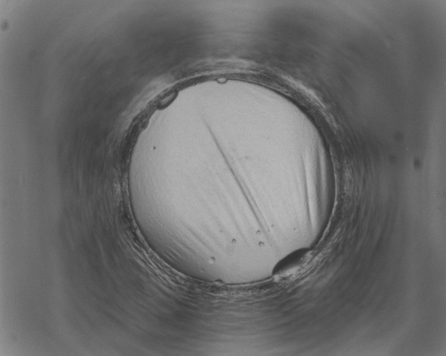 X0000068831407200605261604