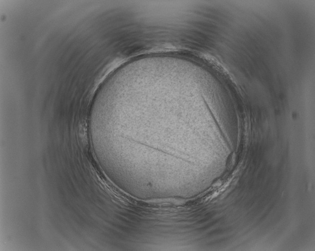 X0000068831409200605261604