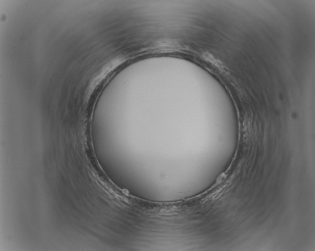 X0000068831410200605261604