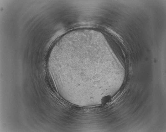 X0000068831411200605261604