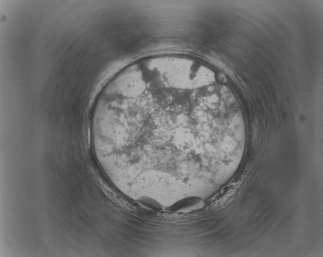 X0000068831413200605261604