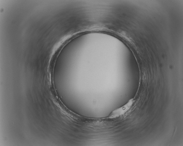 X0000068831414200605261604