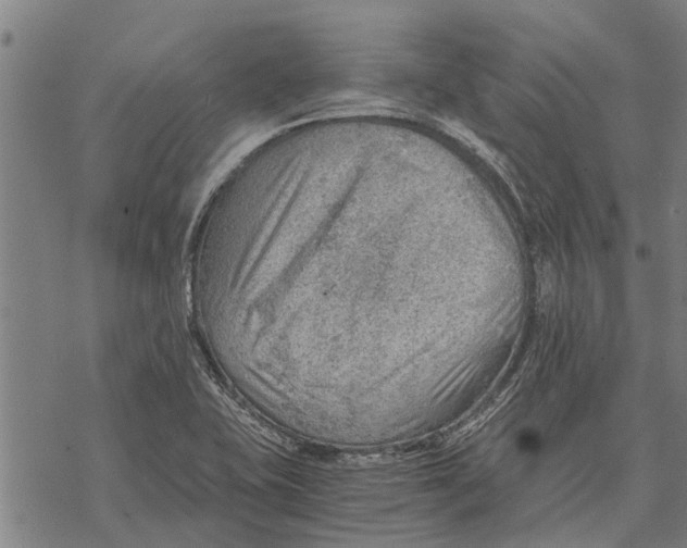 X0000068831415200605261604