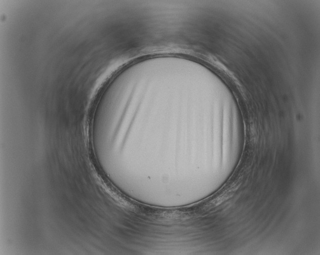 X0000068831416200605261604