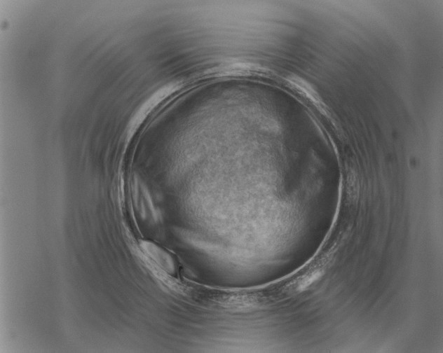 X0000068831418200605261604