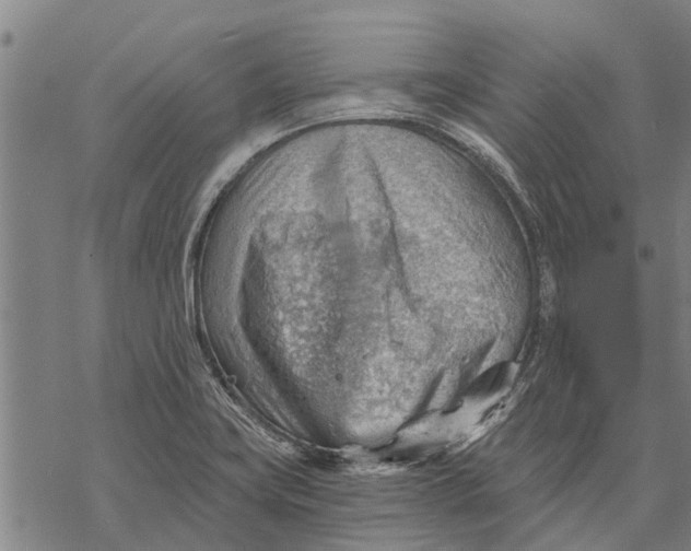 X0000068831419200605261604