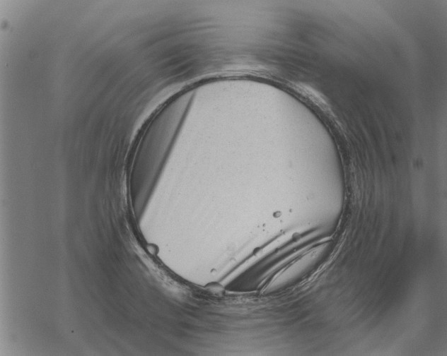 X0000068831420200605261604