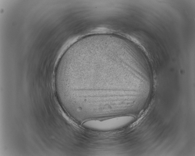 X0000068831421200605261604