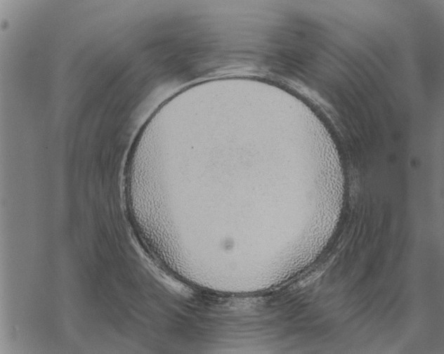 X0000068831423200605261604