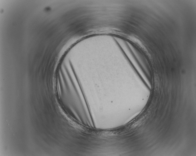 X0000068831424200605261604