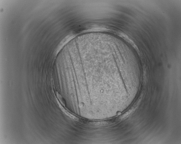 X0000068831425200605261604