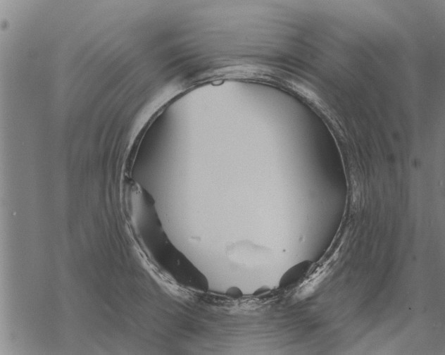 X0000068831426200605261604