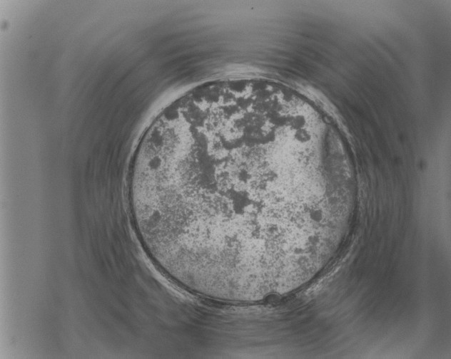 X0000068831429200605261604