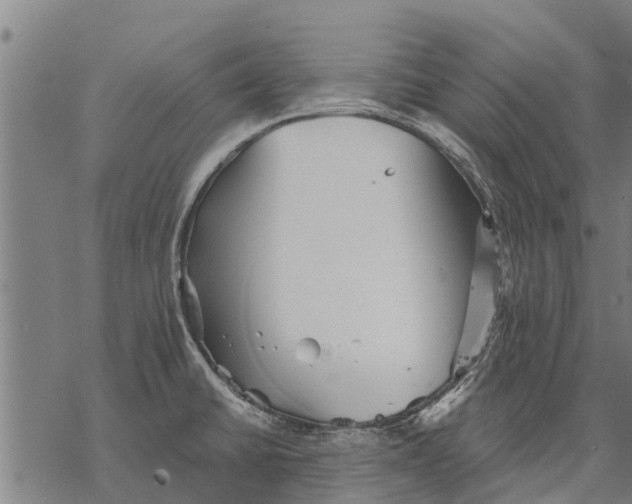 X0000068831430200605261604