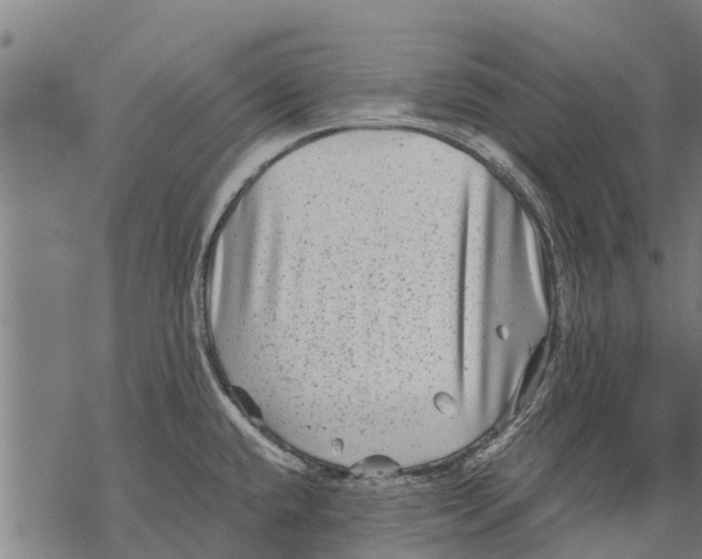 X0000068831432200605261604