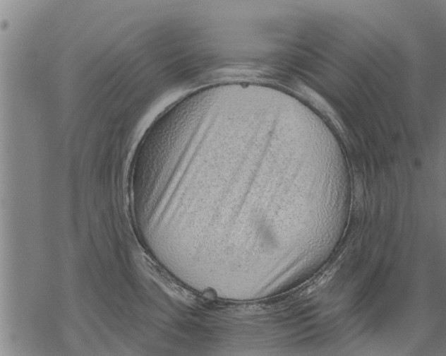 X0000068831435200605261604