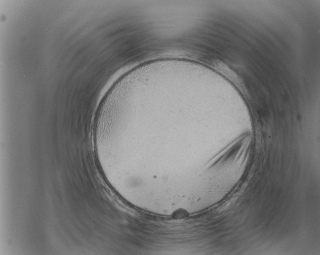 X0000068831436200605261604