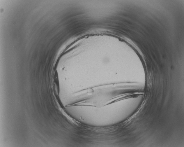 X0000068831437200605261604