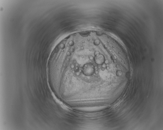 X0000068831439200605261604