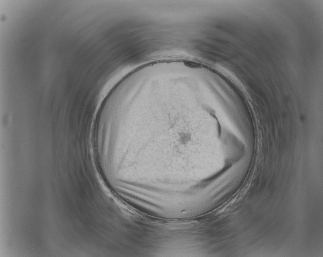 X0000068831440200605261604