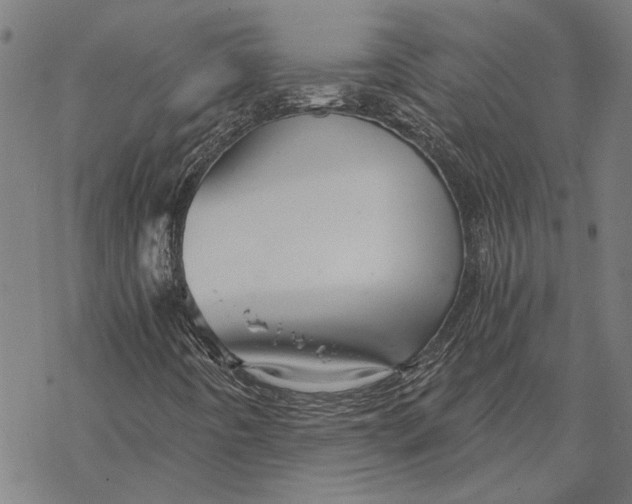 X0000068831442200605261604