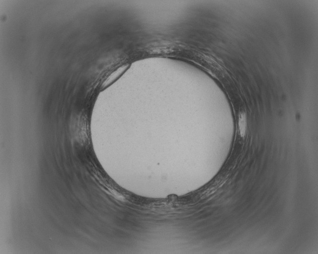 X0000068831444200605261604