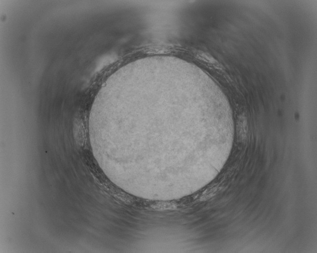 X0000068831446200605261604