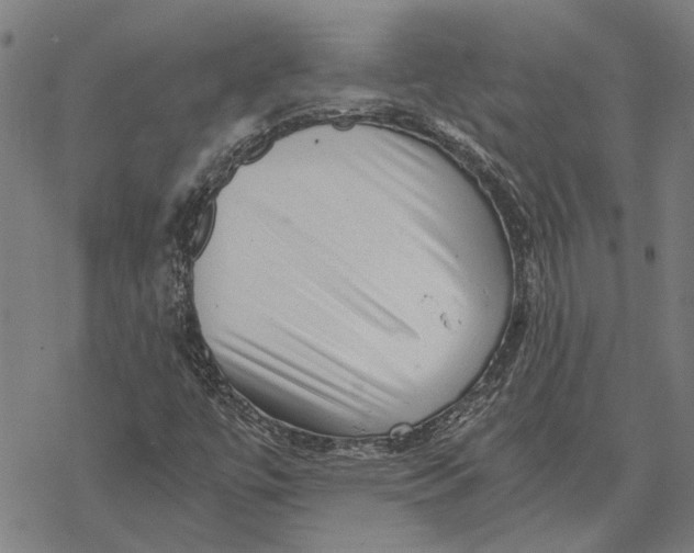 X0000068831447200605261603