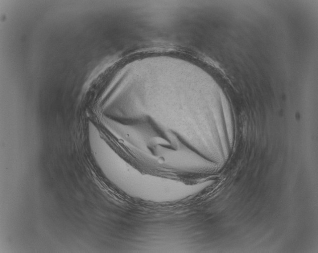 X0000068831448200605261603