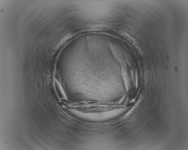 X0000068831449200605261603