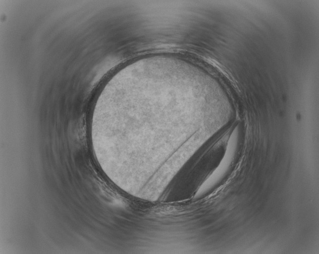 X0000068831450200605261603