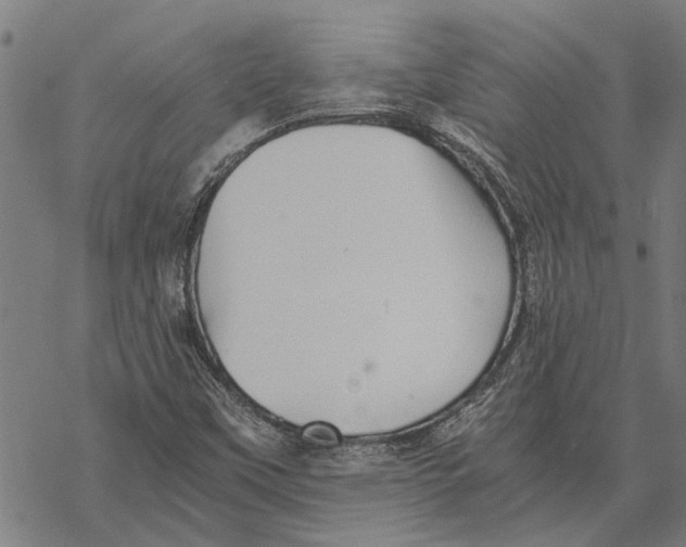 X0000068831451200605261603