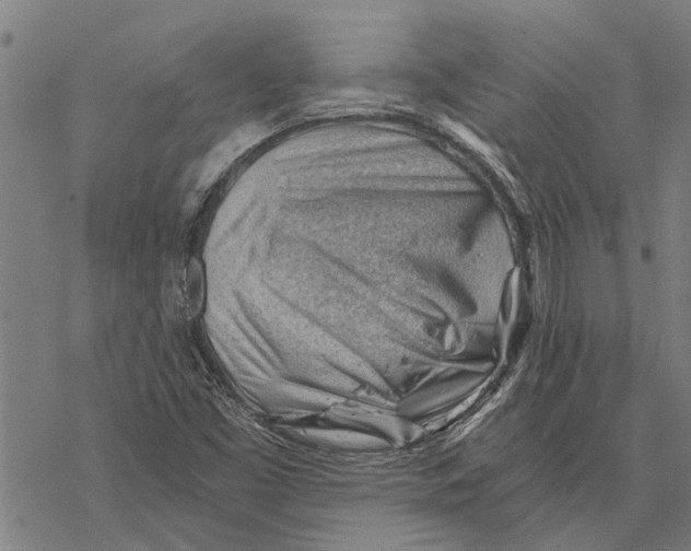 X0000068831453200605261603