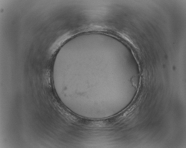 X0000068831455200605261603