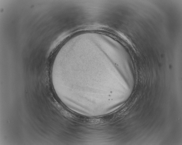 X0000068831456200605261603