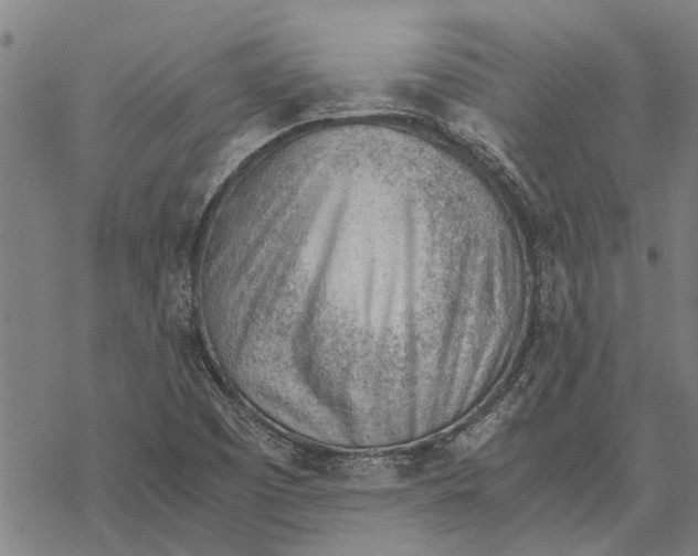 X0000068831457200605261603