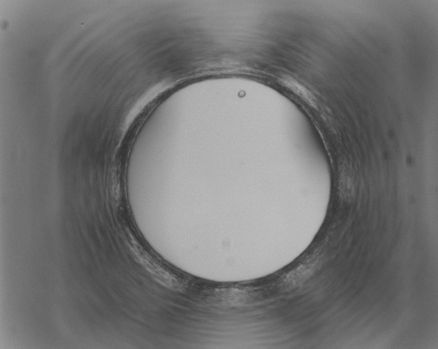 X0000068831458200605261603