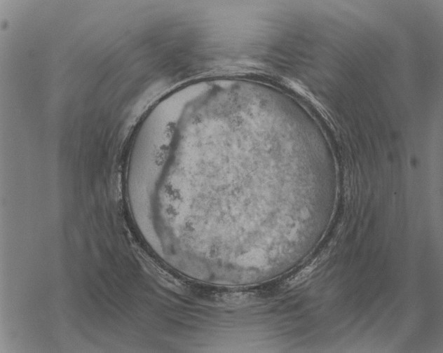 X0000068831459200605261603