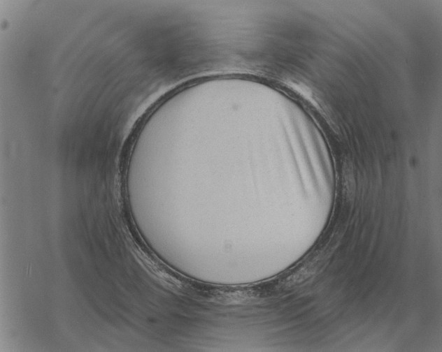 X0000068831460200605261603