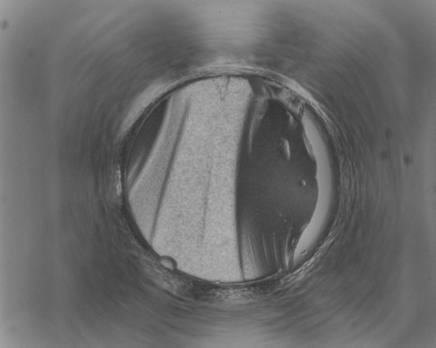 X0000068831461200605261603