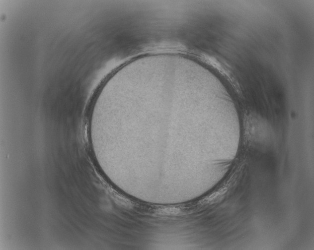 X0000068831462200605261603