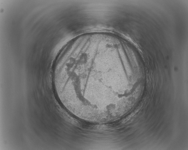 X0000068831463200605261603