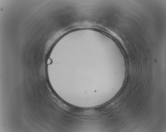 X0000068831464200605261603