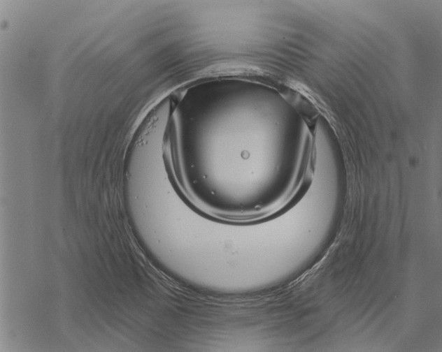 X0000068831465200605261603