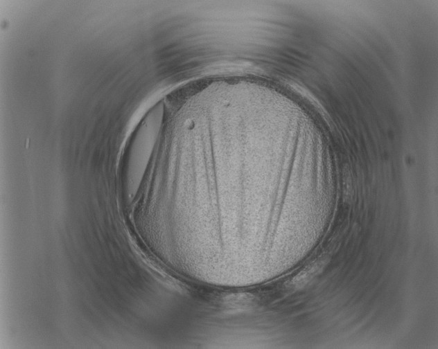 X0000068831467200605261603