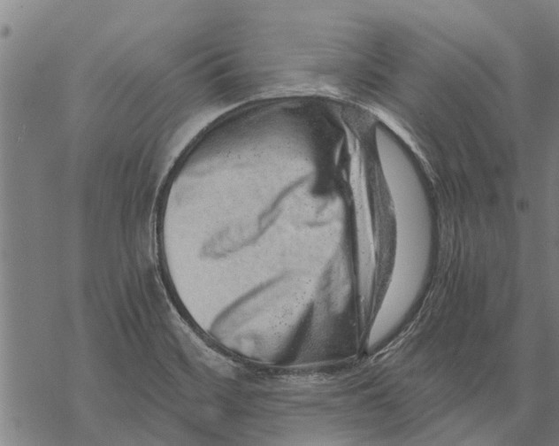 X0000068831468200605261603