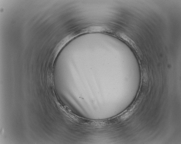 X0000068831473200605261603